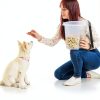 IRIS USA Pet Food Container Airtight Storage for Cats Dogs-4