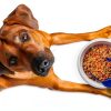 Van Ness Food Scoop Dishwasher Safe 16 Ounce Pet Supplies-1